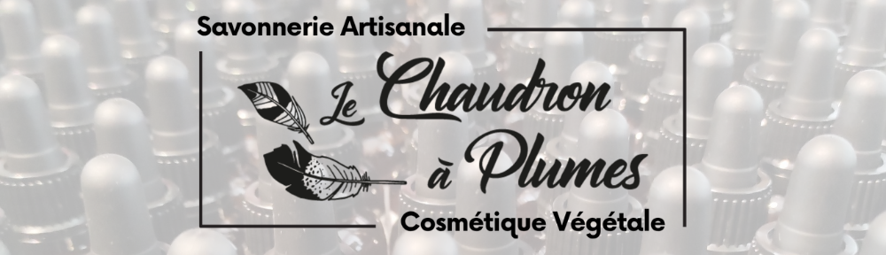 Le Chaudron à Plumes